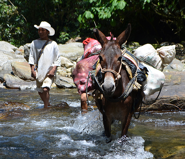 Colombia Adventure